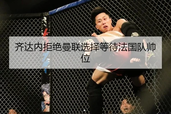 齐达内拒绝曼联选择等待法国队帅位